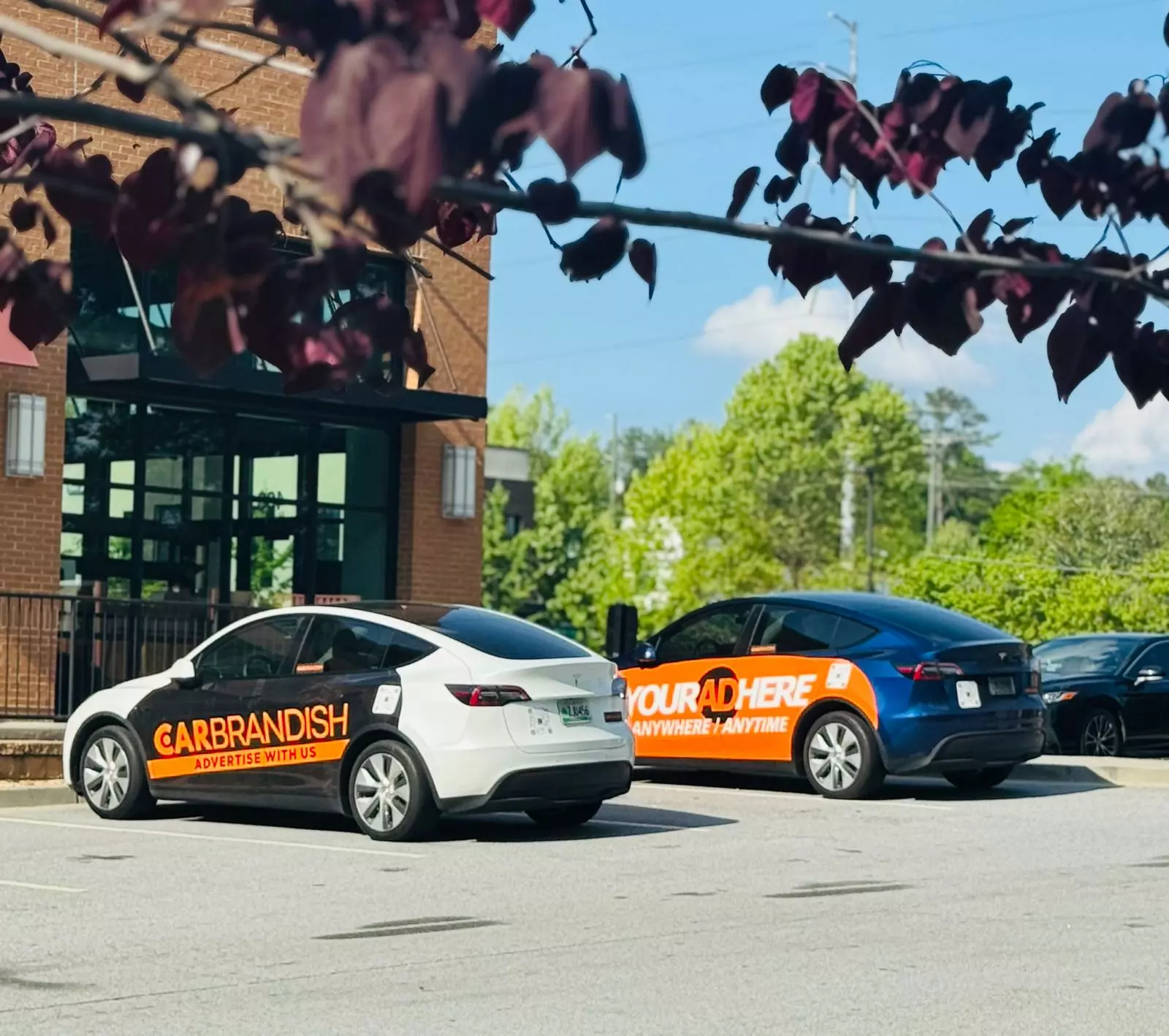 CarBrandish mobile campaign